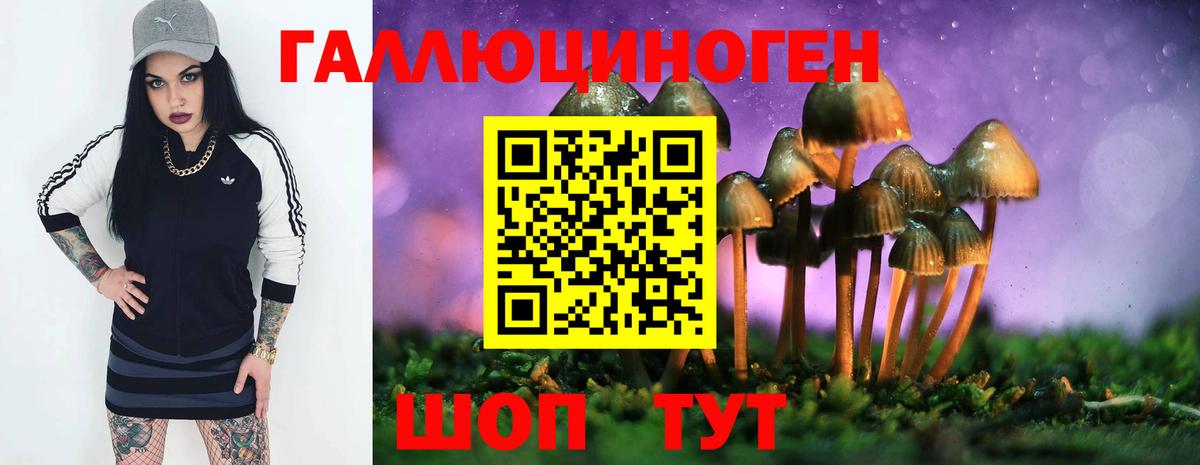 купить наркотик  Псилоцибиновые грибы мухоморы  Вход с VPN  Азов 